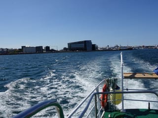 Whale Watching and Marine Life Tour in Faxafloi, photo 25
