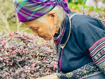 Hanoi to Sapa Three Day Private Tour