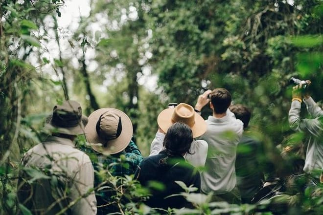 3 Days Rwanda Gorilla Trekking photo 6