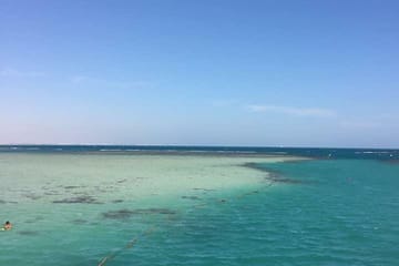 Full-Day Snorkeling Tour at Dolphin House National Park, Hurghada