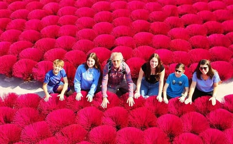 Incense Village Private Day Tour From Hanoi to Ninh Binh