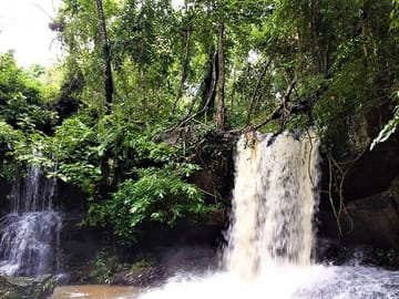 Prek Toal Birds Sanctuary & floating Village Private Tours from Siem Reap