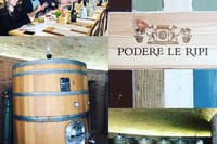 From Rome Wine Tasting in Tuscany 9