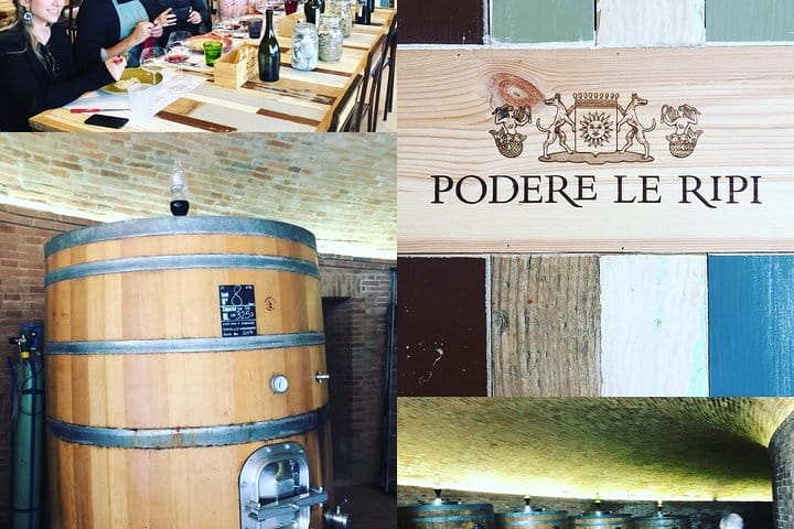 From Rome Wine Tasting in Tuscany 9