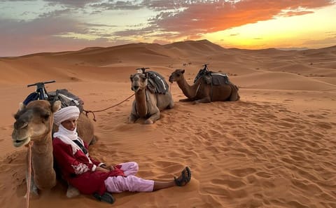 10-Day Cultural Tour of Morocco from Casablanca