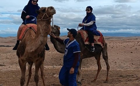 Small-Group Dinner Experience in Agafay Desert, Marrakech
