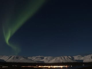 Forest Lagoon and Northern Lights Guided Night Tour , photo 6