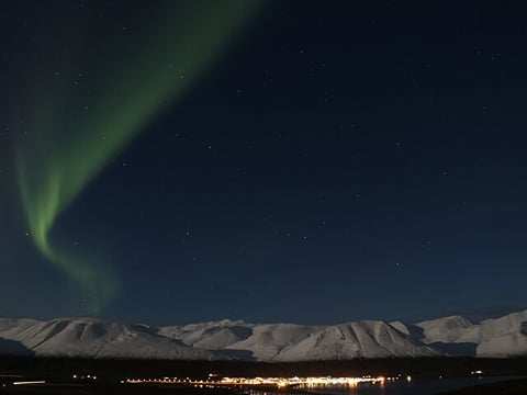 Forest Lagoon and Northern Lights Guided Night Tour , photo 6