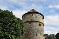 Tallinn A Private Walking Tour With Local Guide 7