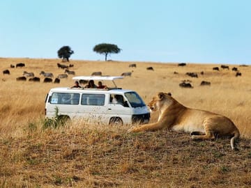 Nairobi National Park and Wildlife Experience Tour