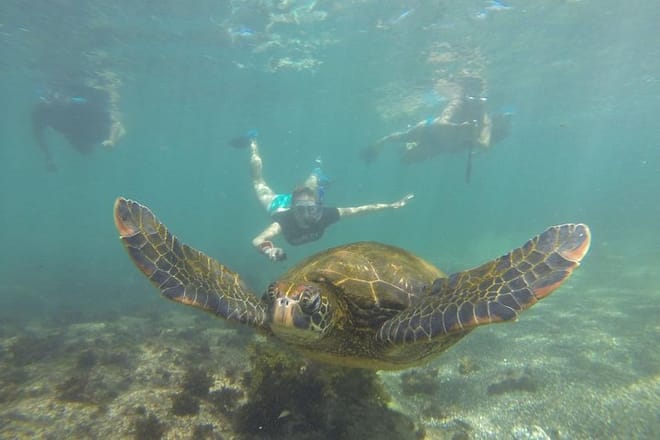 Los Tuneles Snorkeling