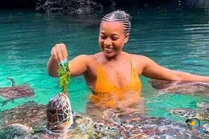 Nungwi Village Tour, Kilosa Zoo and Swim with Turtles Baraka