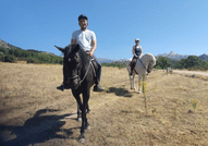 Horseback Riding in Madrid 2