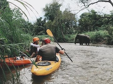 Chiang mai Suthep National Park Leisure Hiking & Mountain Biking