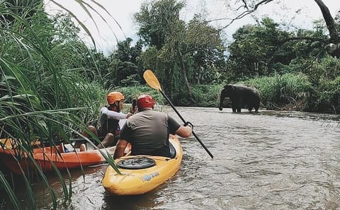 White Water Kayaking Adventure on Mae Wang River, Chiang Mai