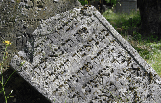 Private Guided Tour: Thessaloniki Jewish Heritage