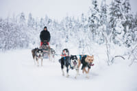 Self-Driving Husky Tour 7-kilometers 1