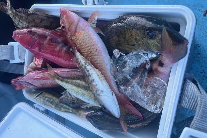 Private Tour :  3 Days Tour Package with snorkeling