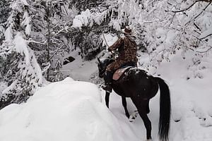 1 Hour Waterfalls Canyon Private Horse Riding in Smolyan 