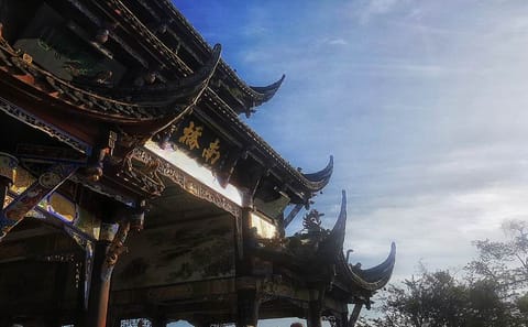 Chengdu Dujiangyan Leshan Buddha Tea Plantation and Sichuan Cooking 3 Days