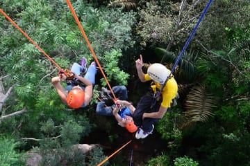Tree Climbing Adventure in the Amazon Rainforest, Manaus