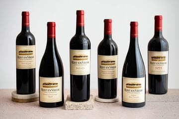 Bo-Kaap, Cheetah Outreach Firgrove & Stellenbosch Wine Tasting