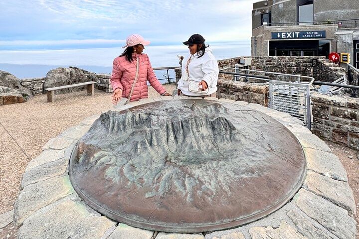 Table Mountain and Penguins Half Day Shared Group Tour