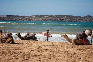 Atlas Mountains and Essaouira in 1 Night Private Tour From Marrakesh