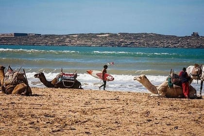 Atlas Mountains and Essaouira in 1 Night Private Tour From Marrakesh