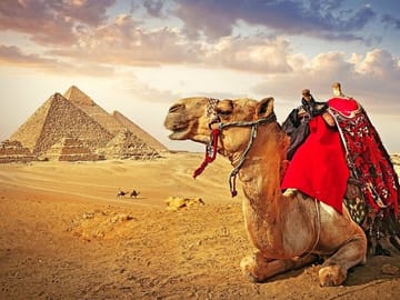 Cairo Pyramids and Grand Museum Tour from Sharm El Sheikh