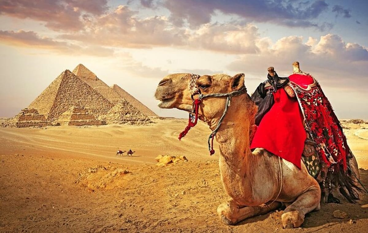 Pyramids Full Day Guided Tour & Lunch by Bus from Sharm El Sheikh