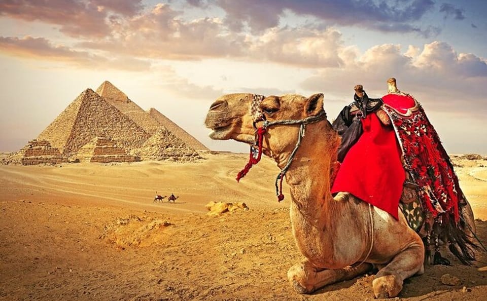 Cairo Pyramids and Grand Museum Tour from Sharm El Sheikh