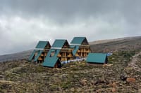 1-Day Mount Kilimanjaro Experience: Marangu Gate to Mandara Hut Day Hike 3