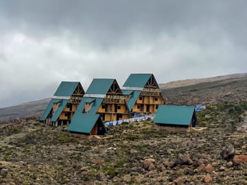 1-Day Mount Kilimanjaro Experience: Marangu Gate to Mandara Hut Day Hike