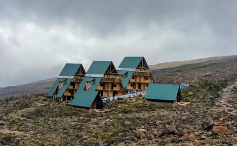 1-Day Mount Kilimanjaro Experience: Marangu Gate to Mandara Hut Day Hike