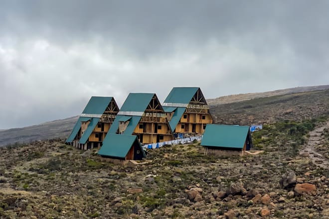 1-Day Mount Kilimanjaro Experience: Marangu Gate to Mandara Hut Day Hike photo 3