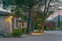 Half Day Private Wine & Oil Tasting Tour near Barcelona with Hotel Pick up 1