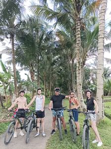 Bali Rural Eco Private Bike Tour in Ubud with Lunch