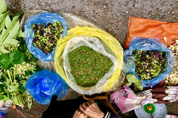 Four-Day Trekking Adventure in Hà Giang, Vietnam