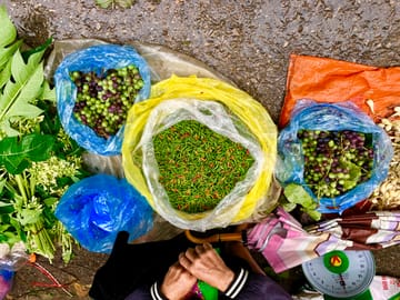 Four-Day Trekking Adventure in Hà Giang, Vietnam