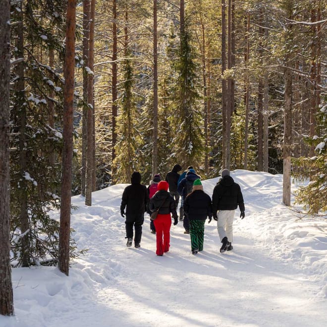 Korouoma Frozen Waterfalls