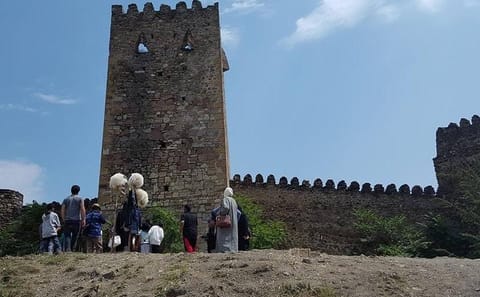 Private Kazbegi and Gudauri Tour with Sno Giant Stone Heads