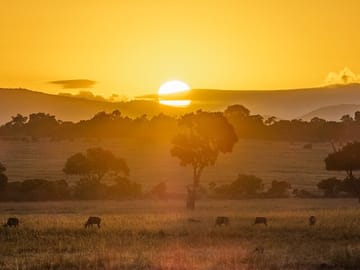 The amazing sunset view at the Maasai mara National reserve