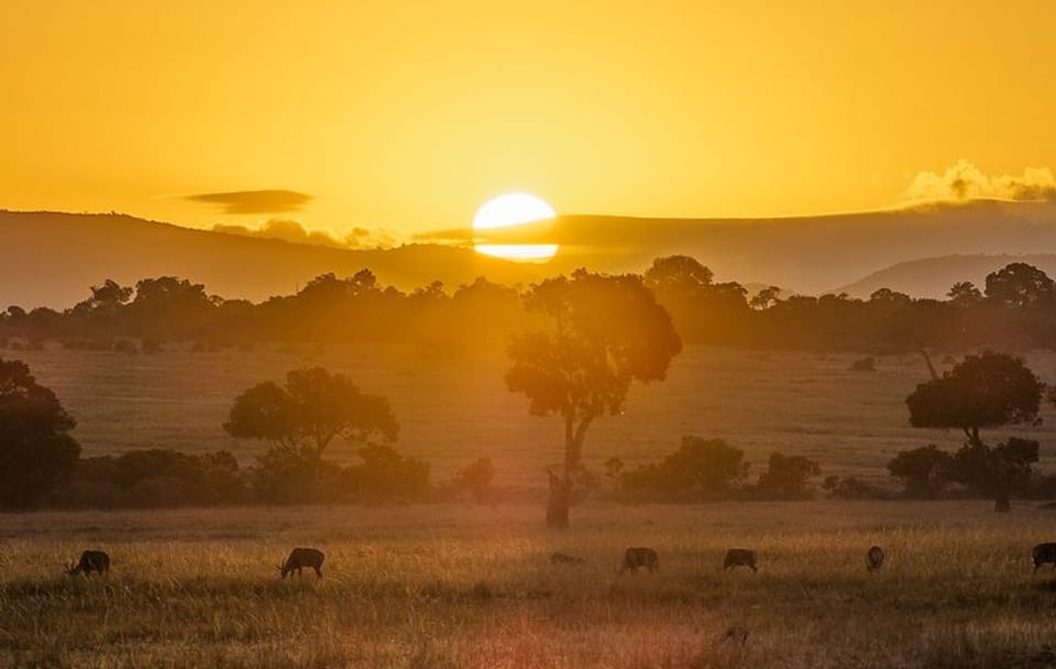 2 Days Private Safari To Maasai Mara National Reserve