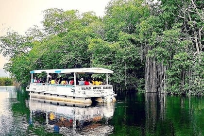 Full-Day South Coast – YS Falls, Pelican Bar & Black River Safari
