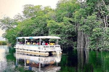 Full-Day Adventure Tour of YS Falls and Black River Safari in Jamaica