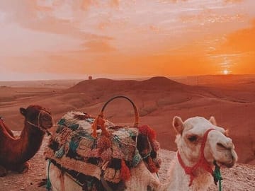 Camel Ride and Moroccan Breakfast in Agafay Desert, Marrakesh