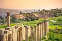 Private Full Day Jerash and Amman City Sightseeing Tour 1