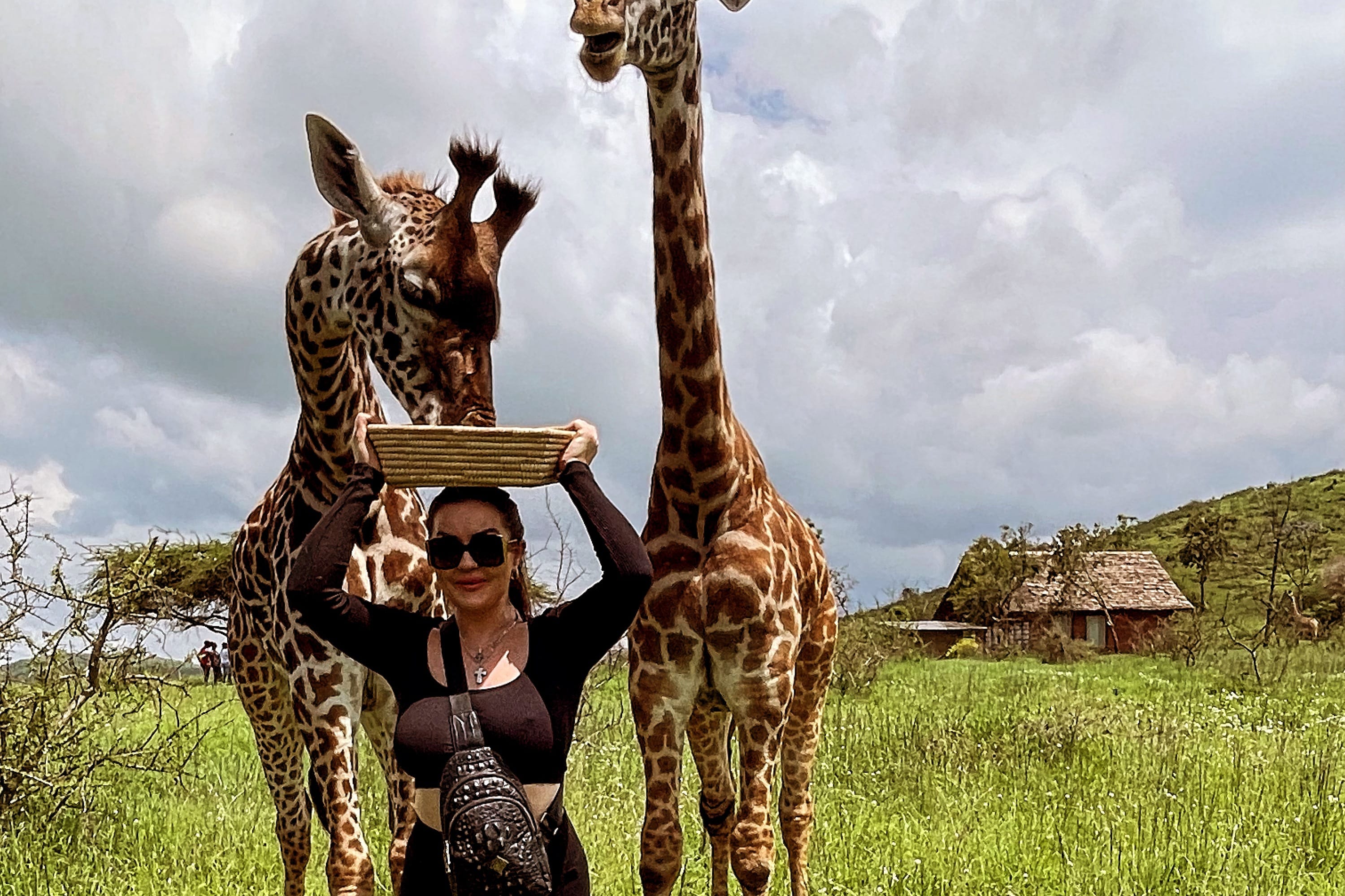 A guest standing between two giraffes in a green field at Serval Wildlife.