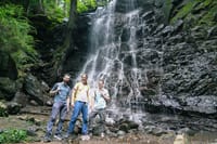 Mt. Fuji Private Day Tour: Wasabi Farm, Nature & Scenic Views  3